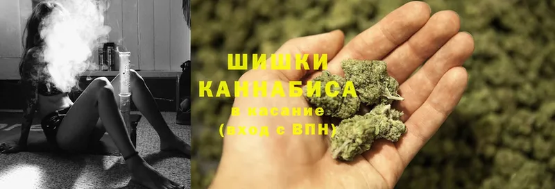 наркотики  Белогорск  МАРИХУАНА SATIVA & INDICA 